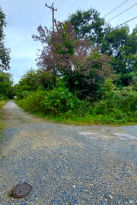 三岐線保々駅 売地 3079万円 三岐線保々駅 売地 3079万円